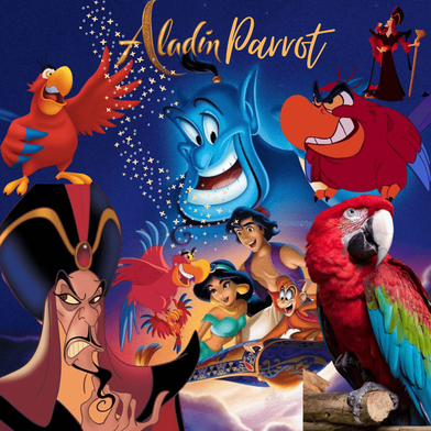 Aladdin parrot - All you need to know about the parrot from aladdin | Iago