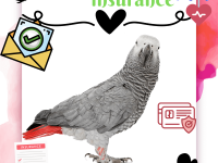 Parrot insurance