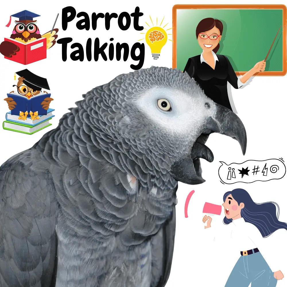Talking with parrot