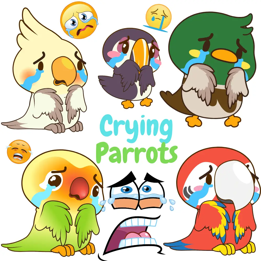crying parrots