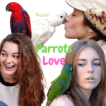 parrots love