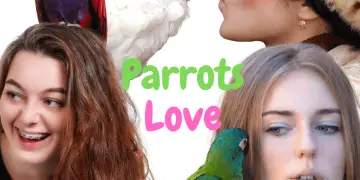 parrots love