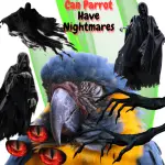 Can Parrot Have Nightmares