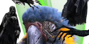 Can Parrot Have Nightmares
