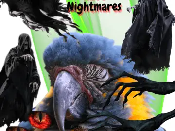 Can Parrot Have Nightmares