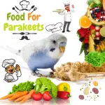 Food For Parakeets