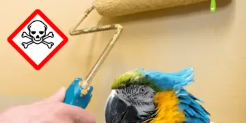 Is Paint Toxic To Parrots