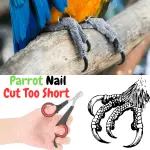 Nail cut too short