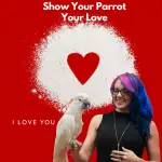 Show Your Parrot Your Love