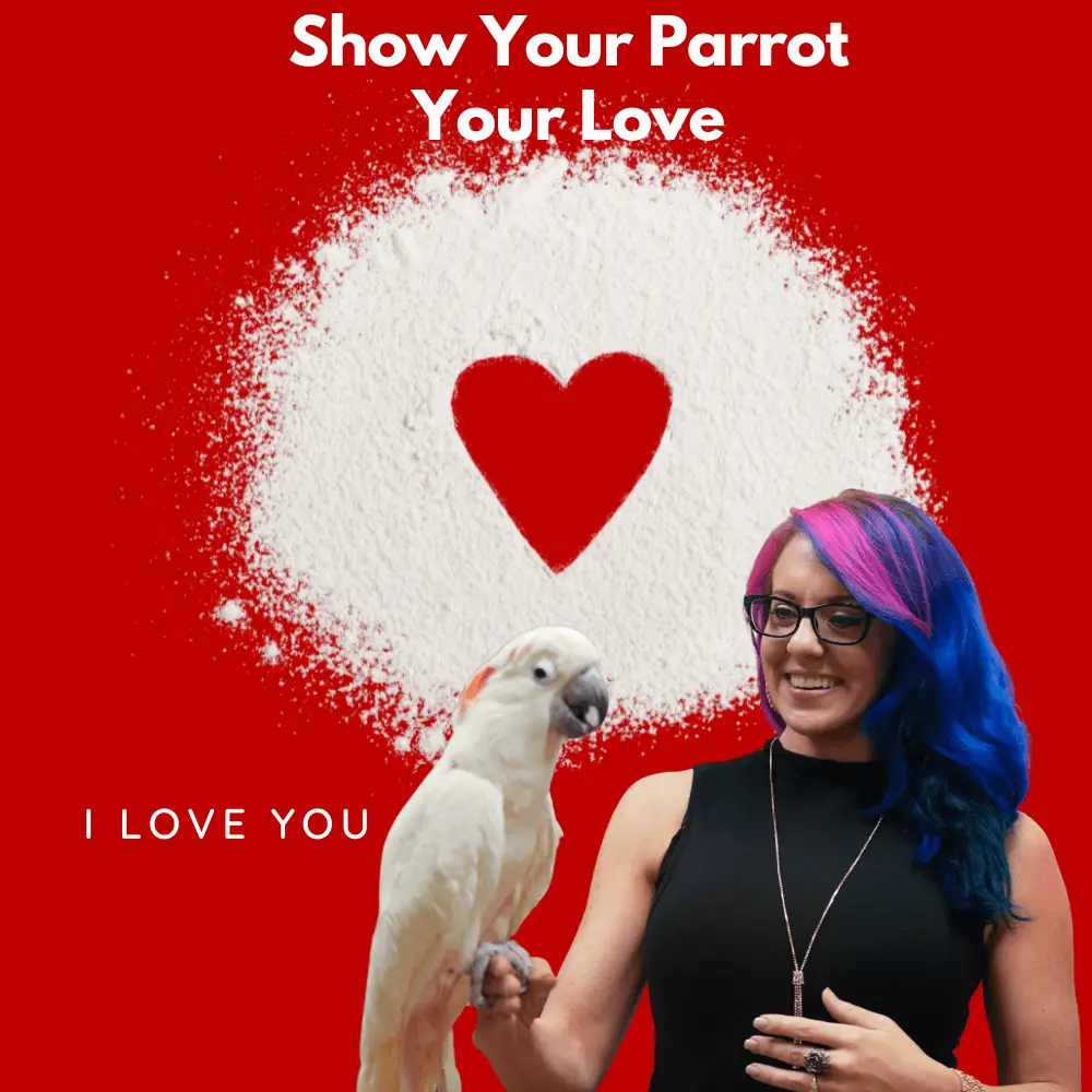 Show Your Parrot Your Love
