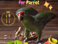 fruits and vegetables for parrot