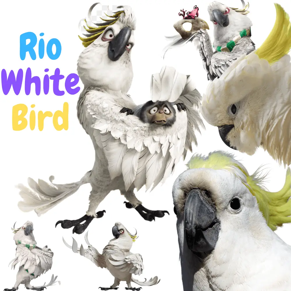 rio white bird