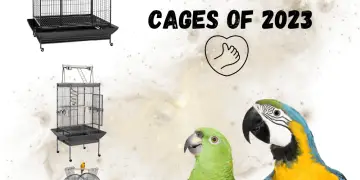 The 5 Best Parrot Cages Of 2023