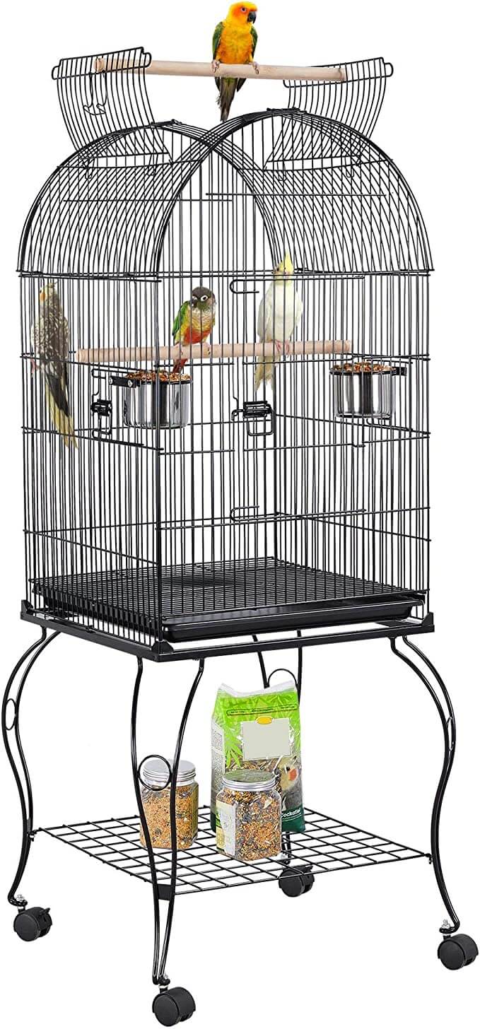 cage for parrot
