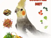 Cockatiel diet